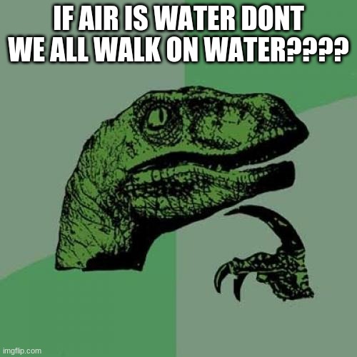 Philosoraptor Meme | IF AIR IS WATER DONT WE ALL WALK ON WATER???? | image tagged in memes,philosoraptor | made w/ Imgflip meme maker