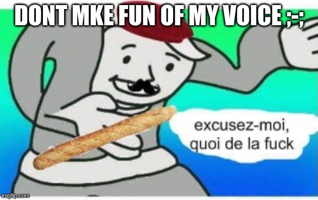 french wtf | DONT MKE FUN OF MY VOICE ;-; | image tagged in french wtf | made w/ Imgflip meme maker