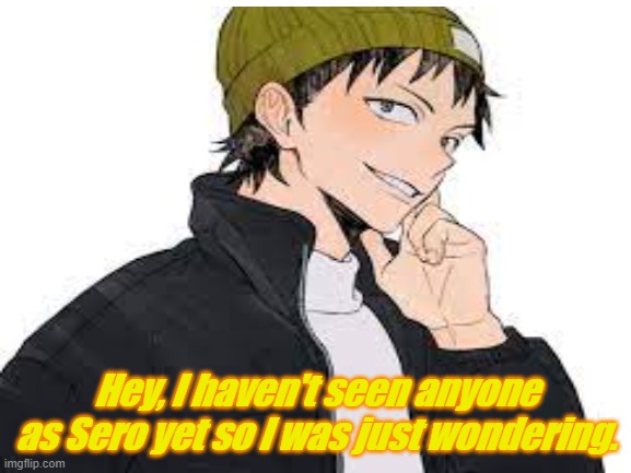 Hey hoomans!! | Hey, I haven't seen anyone as Sero yet so I was just wondering. | made w/ Imgflip meme maker