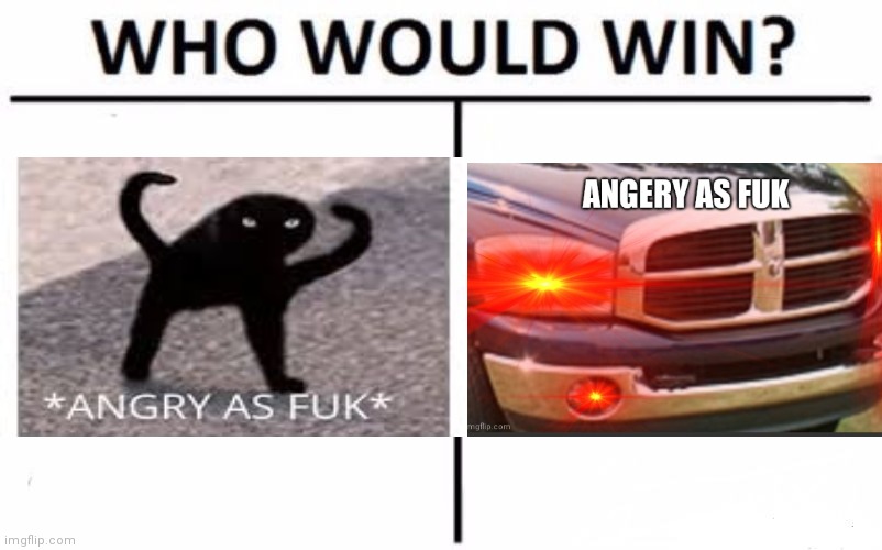 ANGERY AS FUK | image tagged in angery,truck,cat | made w/ Imgflip meme maker