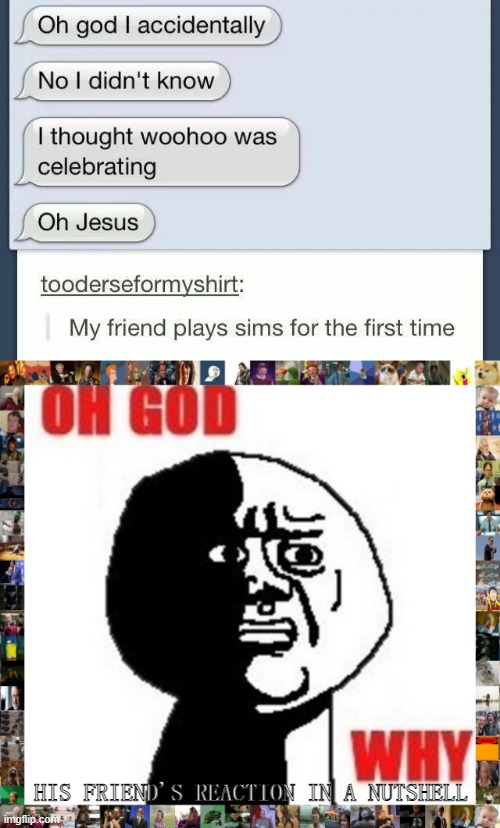 Don't you hate it when you play The Sims and then mistake 'Woohoo' for something else? | HIS FRIEND'S REACTION IN A NUTSHELL | image tagged in oh god why,the sims,memes,sims,funny | made w/ Imgflip meme maker