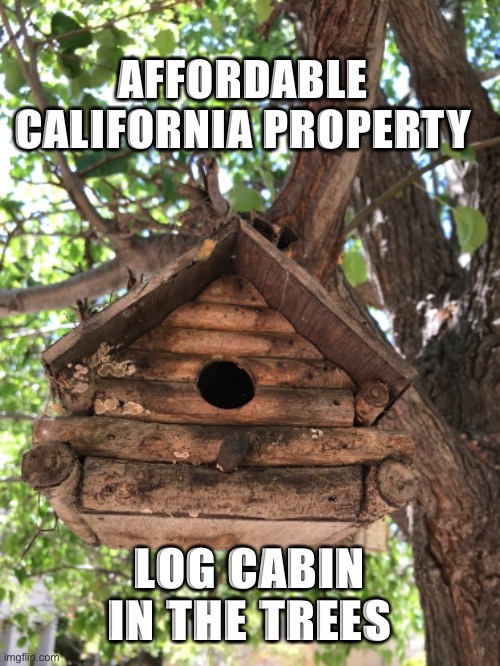 Affordable California property | AFFORDABLE CALIFORNIA PROPERTY; LOG CABIN IN THE TREES | image tagged in homes | made w/ Imgflip meme maker