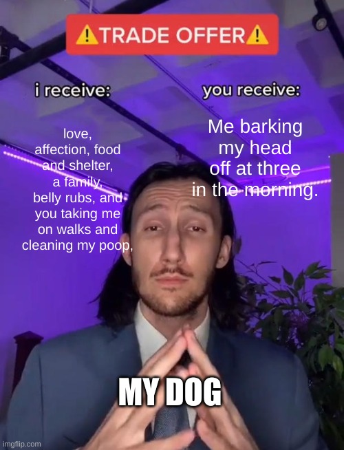 My dog be like: | love, affection, food and shelter, a family, belly rubs, and you taking me on walks and cleaning my poop, Me barking my head off at three in the morning. MY DOG | image tagged in trade offer,meme,dogs | made w/ Imgflip meme maker