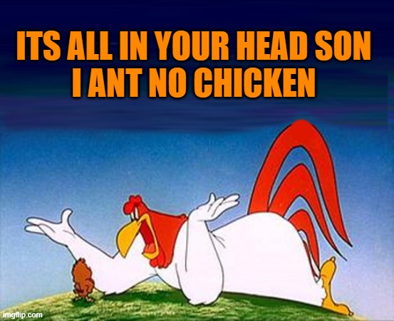 ITS ALL IN YOUR HEAD SON
I ANT NO CHICKEN | made w/ Imgflip meme maker