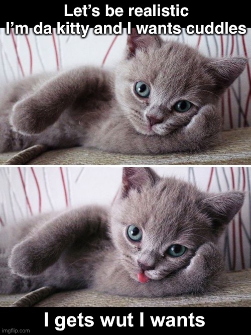 Let’s be realistic
I’m da kitty and I wants cuddles I gets wut I wants | made w/ Imgflip meme maker