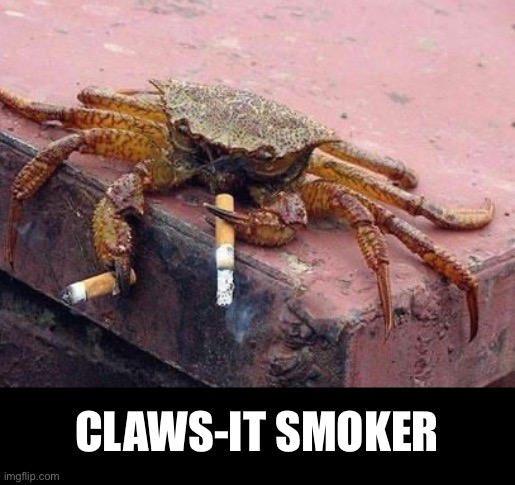 Closet Smoker | CLAWS-IT SMOKER | image tagged in funny memes,dad jokes,eyeroll | made w/ Imgflip meme maker