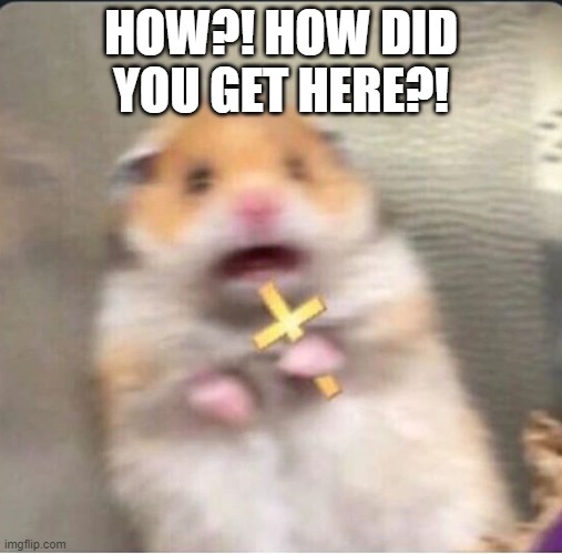 shook christian hamster | HOW?! HOW DID YOU GET HERE?! | image tagged in shook christian hamster | made w/ Imgflip meme maker