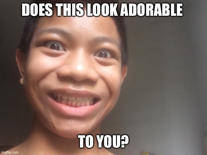 DOES THIS LOOK ADORABLE TO YOU? | made w/ Imgflip meme maker