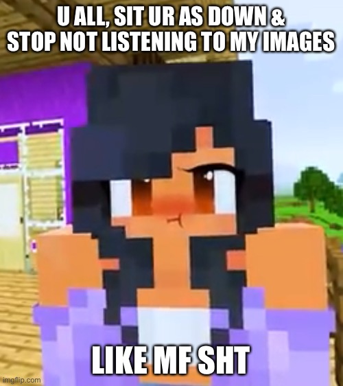 Aphmau angry ? | U ALL, SIT UR AS DOWN & STOP NOT LISTENING TO MY IMAGES; LIKE MF SHT | image tagged in aphmau angry | made w/ Imgflip meme maker