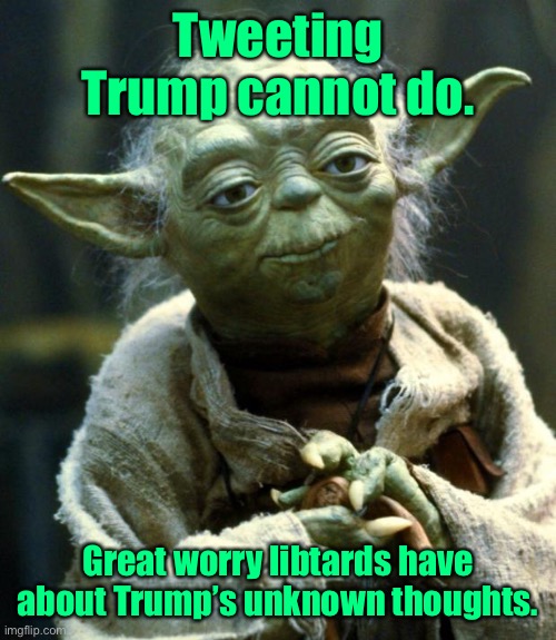 Notice how much more the progressive liberals post over Trump now. | Tweeting Trump cannot do. Great worry libtards have about Trump’s unknown thoughts. | image tagged in star wars yoda,donald trump,tweets,libtards,triggered,worry | made w/ Imgflip meme maker