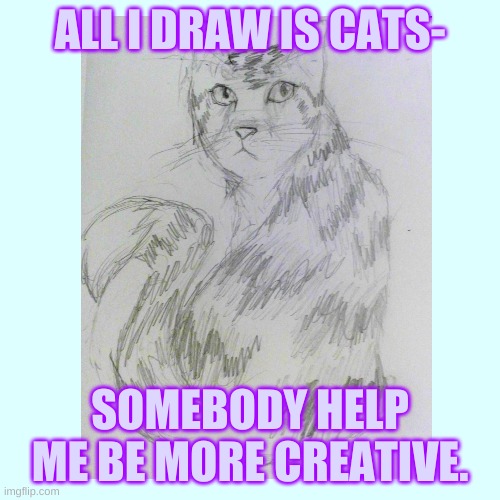 This is like the third or fourth cat I've drawn + posted on this stream. | ALL I DRAW IS CATS-; SOMEBODY HELP ME BE MORE CREATIVE. | image tagged in cats,art,drawing,drawings | made w/ Imgflip meme maker