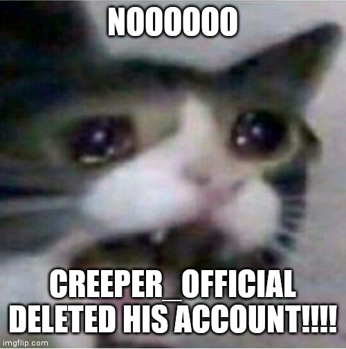 Nooooo, F in the chats, he will be remembered!! | NOOOOOO; CREEPER_OFFICIAL DELETED HIS ACCOUNT!!!! | image tagged in crying cat,f in the chats | made w/ Imgflip meme maker