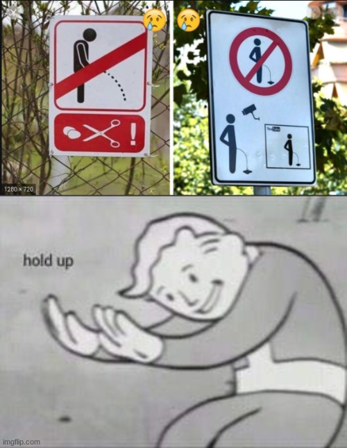 hold up | image tagged in fallout hold up,memes,funny signs | made w/ Imgflip meme maker