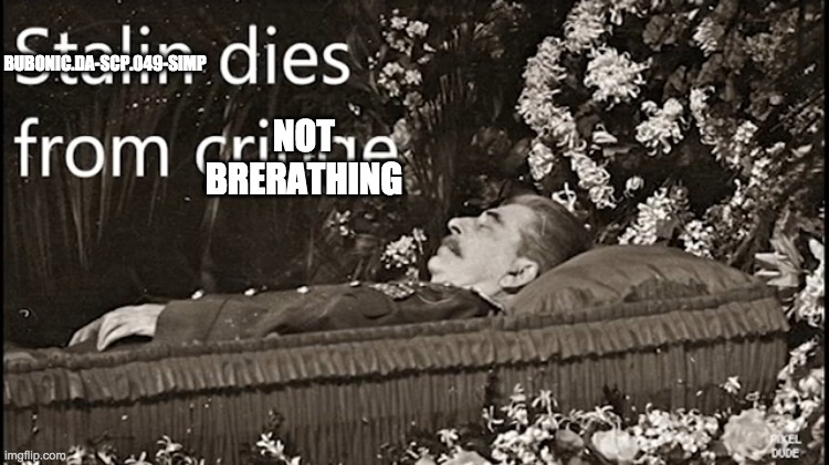 Stalin dies from cringe | BUBONIC.DA-SCP.049-SIMP NOT BRERATHING | image tagged in stalin dies from cringe | made w/ Imgflip meme maker