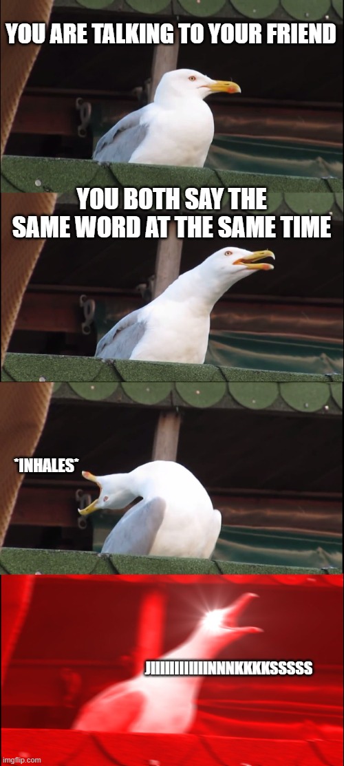 Conversations | YOU ARE TALKING TO YOUR FRIEND; YOU BOTH SAY THE SAME WORD AT THE SAME TIME; *INHALES*; JIIIIIIIIIIIINNNKKKKSSSSS | image tagged in memes,inhaling seagull | made w/ Imgflip meme maker