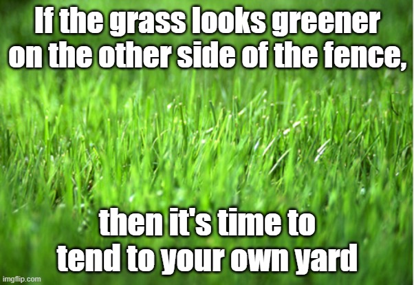 grass is greener | If the grass looks greener on the other side of the fence, then it's time to tend to your own yard | image tagged in grass is greener | made w/ Imgflip meme maker