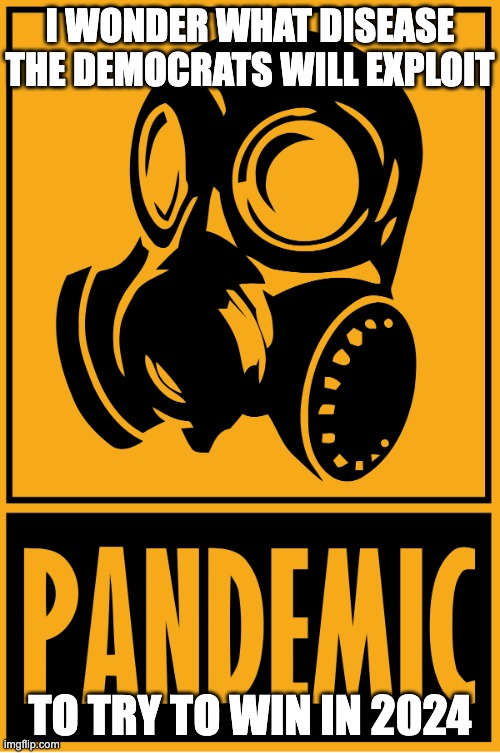 Pandemic bullshit |  I WONDER WHAT DISEASE THE DEMOCRATS WILL EXPLOIT; TO TRY TO WIN IN 2024 | image tagged in pandemic bullshit | made w/ Imgflip meme maker