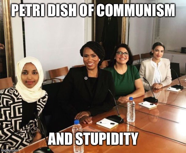 Just plain wrong for America | PETRI DISH OF COMMUNISM; AND STUPIDITY | image tagged in the squad,petri dish,communism,stupidity | made w/ Imgflip meme maker