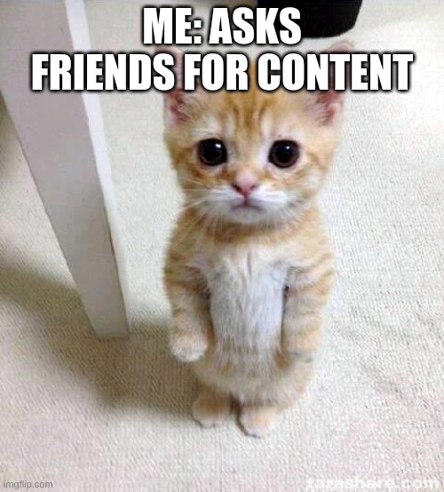 cat | ME: ASKS FRIENDS FOR CONTENT | image tagged in memes,cute cat | made w/ Imgflip meme maker