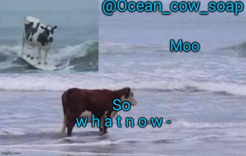 soap's ocean cow temp (ty yachi ^^) | So 
w h a t n o w - | image tagged in soap's ocean cow temp ty yachi | made w/ Imgflip meme maker