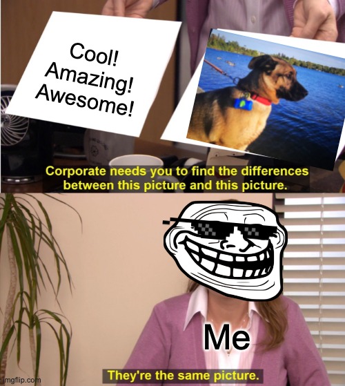 Men's best friend (Yes, that my dog. Cute, right?) | Cool! Amazing! Awesome! Me | image tagged in memes,they're the same picture | made w/ Imgflip meme maker