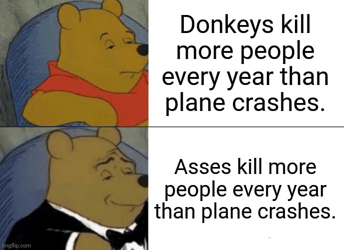 Tuxedo Winnie The Pooh Meme |  Donkeys kill more people every year than plane crashes. Asses kill more people every year than plane crashes. | image tagged in memes,tuxedo winnie the pooh | made w/ Imgflip meme maker