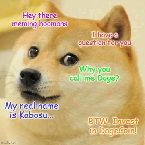 Kabosu | Hey there meming hoomans; I have a question for you; Why you call me Doge? My real name is Kabosu... BTW, Invest in DogeCoin! | image tagged in memes,doge | made w/ Imgflip meme maker