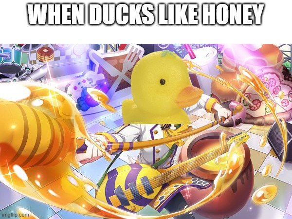 When ducks like Honey | WHEN DUCKS LIKE HONEY | image tagged in honey,duck,memes | made w/ Imgflip meme maker