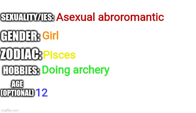 R a i n b o w :3 | Asexual abroromantic; Girl; Pisces; Doing archery; 12 | image tagged in bio template | made w/ Imgflip meme maker