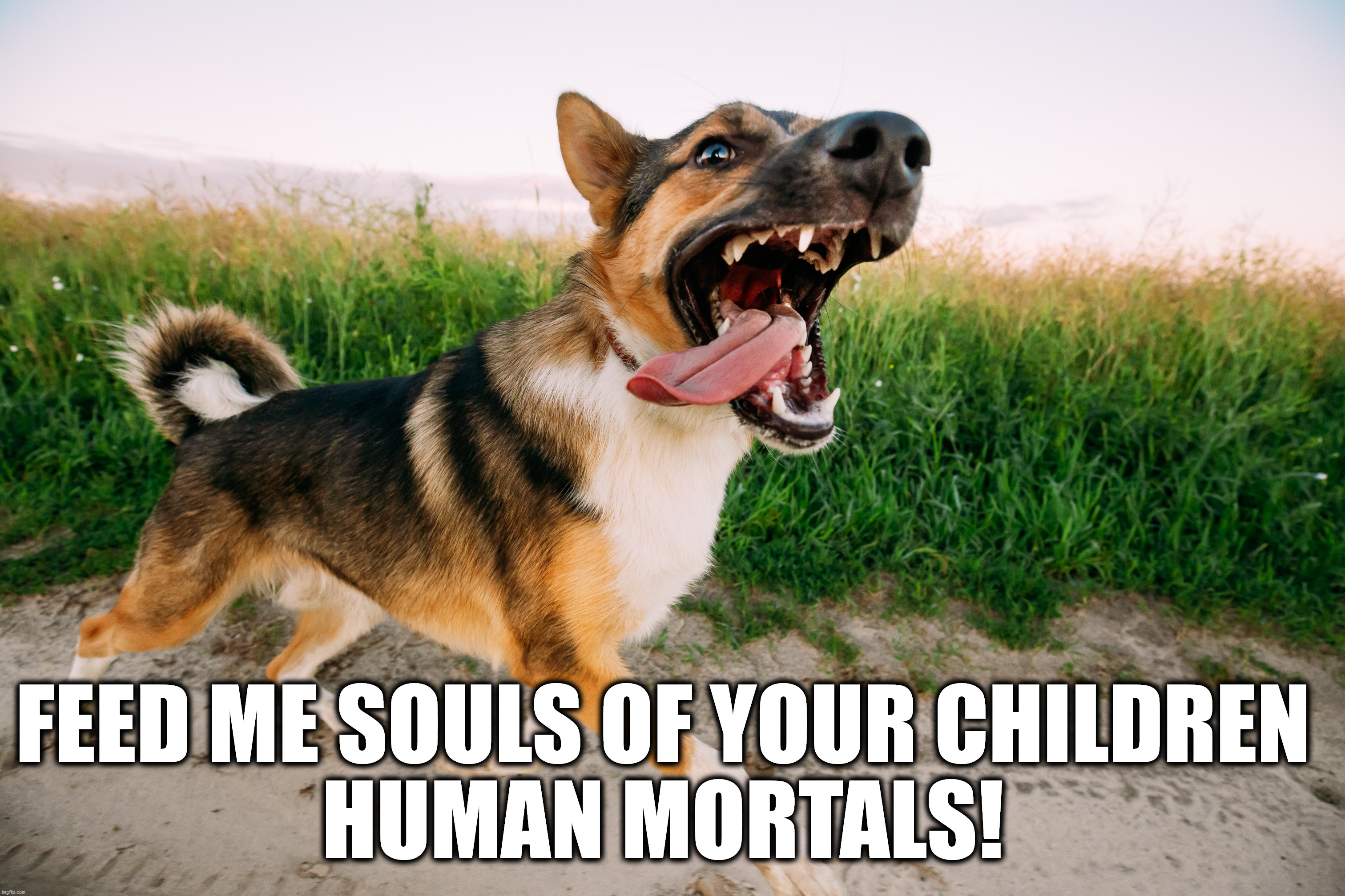 Dogs on the loose be like: | FEED ME SOULS OF YOUR CHILDREN
HUMAN MORTALS! | image tagged in dogs,park,animals,dangerous,beast mode,creepy | made w/ Imgflip meme maker