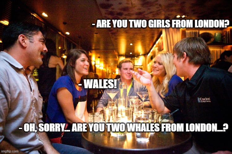 [no caption needed] | - ARE YOU TWO GIRLS FROM LONDON? - WALES! - OH, SORRY... ARE YOU TWO WHALES FROM LONDON...? | image tagged in bar jokes | made w/ Imgflip meme maker