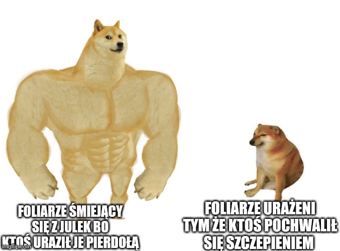 Big dog small dog | FOLIARZE ŚMIEJĄCY SIĘ Z JULEK BO KTOŚ URAZIŁ JE PIERDOŁĄ; FOLIARZE URAŻENI TYM ŻE KTOŚ POCHWALIŁ SIĘ SZCZEPIENIEM | image tagged in big dog small dog | made w/ Imgflip meme maker