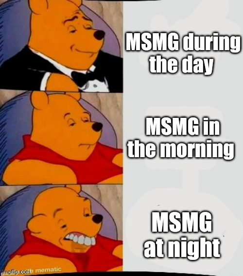 Winnie the poo down grade | MSMG during the day; MSMG in the morning; MSMG at night | image tagged in winnie the poo down grade | made w/ Imgflip meme maker