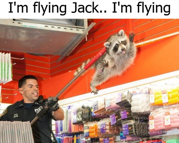 I'm flying Jack.. I'm flying | image tagged in jack | made w/ Imgflip meme maker