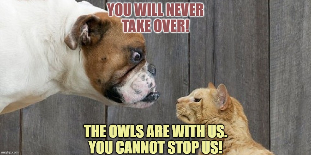▬▬ comment specific to my meme "curious cats and..." [I submitted another expanded version, "Air support"] | YOU WILL NEVER
TAKE OVER! THE OWLS ARE WITH US.
YOU CANNOT STOP US! | image tagged in dog vs cat,comment | made w/ Imgflip meme maker