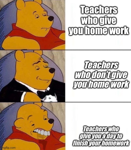 bizarre tuxedo pooh bear | Teachers who give you home work; Teachers who don’t give you home work; Teachers who give you a day to finish your homework | image tagged in bizarre tuxedo pooh bear | made w/ Imgflip meme maker