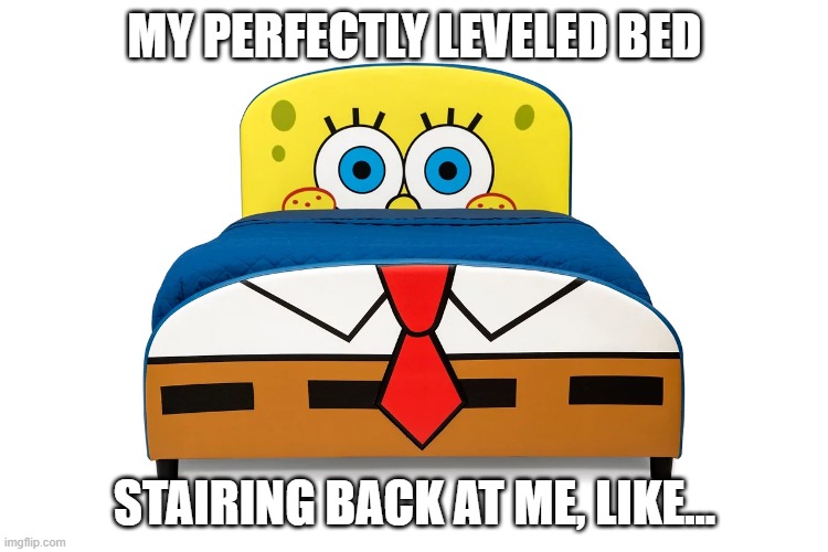 Perfect Bed Level | MY PERFECTLY LEVELED BED; STAIRING BACK AT ME, LIKE... | image tagged in bed level,3d printing | made w/ Imgflip meme maker