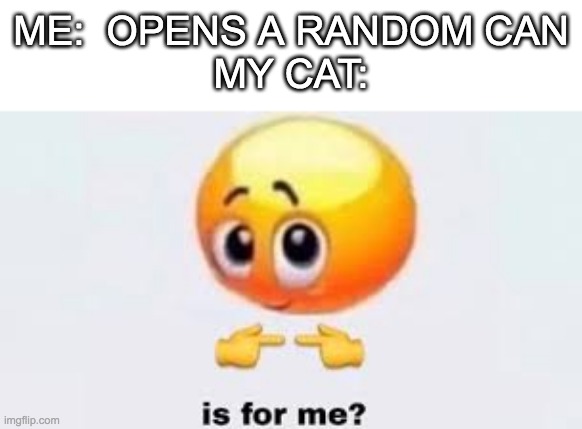 Is for me | ME:  OPENS A RANDOM CAN
MY CAT: | image tagged in is for me | made w/ Imgflip meme maker