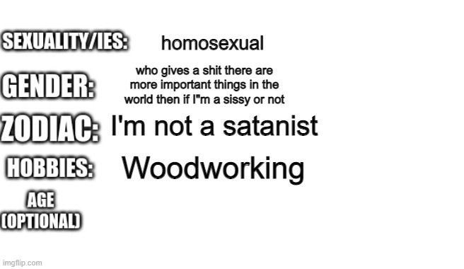 the only thing I'm proud of is my country and my last name | homosexual; who gives a shit there are more important things in the world then if I"m a sissy or not; I'm not a satanist; Woodworking | image tagged in bio template | made w/ Imgflip meme maker