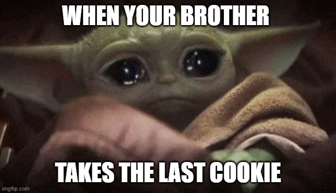 Crying Baby Yoda |  WHEN YOUR BROTHER; TAKES THE LAST COOKIE | image tagged in crying baby yoda,sad baby yoda | made w/ Imgflip meme maker