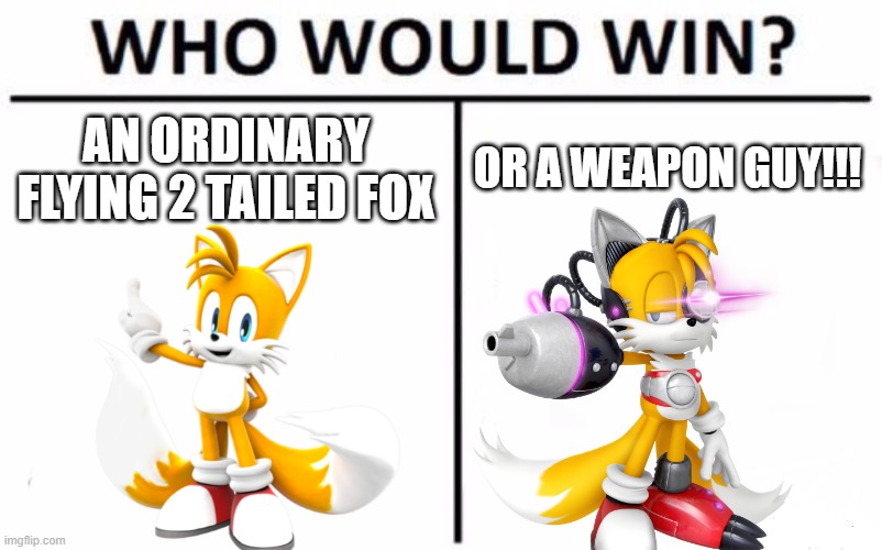 who would win? an ordinary flying 2 tailed fox or the weapon guy!!!! | AN ORDINARY FLYING 2 TAILED FOX; OR A WEAPON GUY!!! | image tagged in memes,who would win,tails,tails the fox,tails miles prower | made w/ Imgflip meme maker