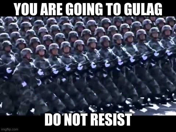 G U L A G | YOU ARE GOING TO GULAG; DO NOT RESIST | image tagged in army marching | made w/ Imgflip meme maker