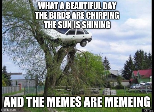 Have a nice day :) |  WHAT A BEAUTIFUL DAY
THE BIRDS ARE CHIRPING
THE SUN IS SHINING; AND THE MEMES ARE MEMEING | image tagged in memes,car in tree,birds,sun,great day | made w/ Imgflip meme maker
