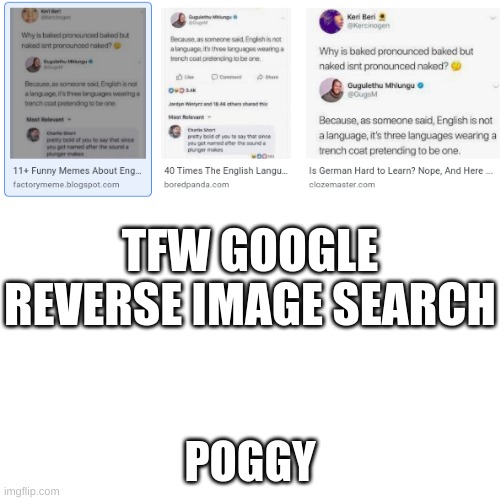 Blank Transparent Square Meme | TFW GOOGLE REVERSE IMAGE SEARCH POGGY | image tagged in memes,blank transparent square | made w/ Imgflip meme maker