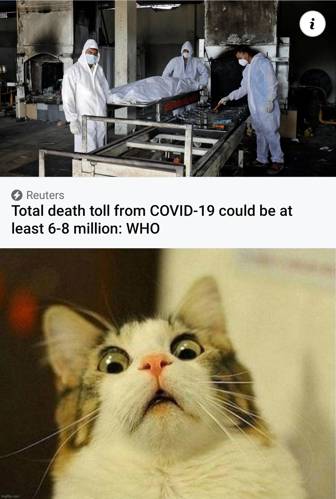OOOH NOOOOOOOOOO!!! | image tagged in memes,scared cat,covid-19,coronavirus,death,pandemic | made w/ Imgflip meme maker