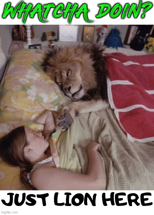 WHATCHA DOIN? JUST LION HERE | image tagged in eye roll | made w/ Imgflip meme maker