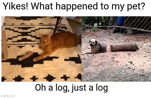 Log Limb | Yikes! What happened to my pet? Oh a log, just a log | image tagged in pets,dog,cat,illusion,illusion 100 | made w/ Imgflip meme maker
