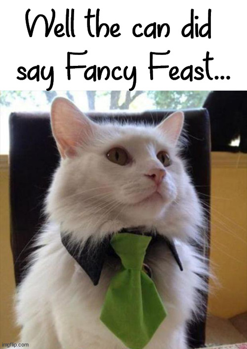 Well the can did 
say Fancy Feast... | image tagged in cats | made w/ Imgflip meme maker