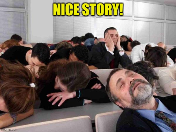 BORING | NICE STORY! | image tagged in boring | made w/ Imgflip meme maker