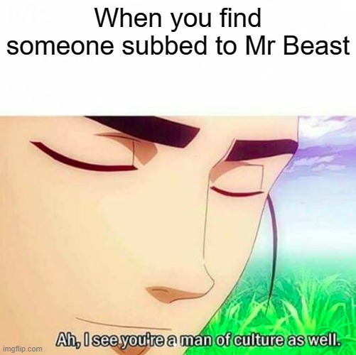Mr Beast at 62.1 million | When you find someone subbed to Mr Beast | image tagged in ah i see you are a man of culture as well,mr beast | made w/ Imgflip meme maker
